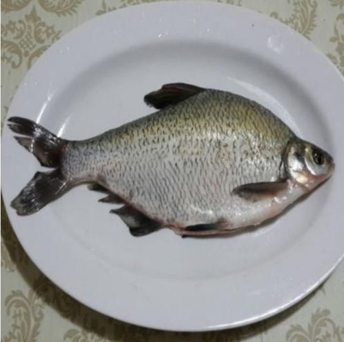 市場監(jiān)管總局通報(bào) 兩種水產(chǎn)品抽檢不合格，提醒消費(fèi)者注意購買安全